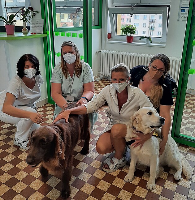 Profesion�ln� t�m v LDN Rybitv�