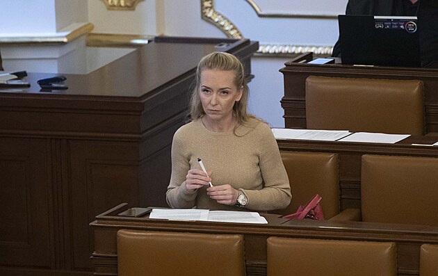Poslankyn SPD Karla Maíková ve Snmovn 24. íjna 2024