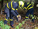 Ostravt hasii pi zchran jestba lesnho, kter se zamotal do ochrann...