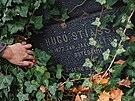 Jmno Hugo Stiassny je na hbitov jedin idovsk. Ostatky jeho nositele ovem...