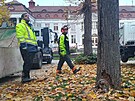 Stav lpy srdit ve Smetanovch sadech byl havarijn, v ter ji proto sprvci...
