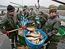 Vlov rybnka Hnaov na Klatovsku, na kterm hospoda Klatovsk rybstv....