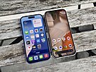 Apple iPhone 16 a Google Pixel 9