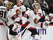 Ottawa Senators st�ídají branká�e, Linus Ullmark (vpravo) jde do hry, Anton...