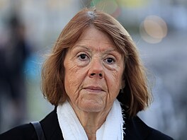 Francouzku Gisèle Pelicotovou její man�el spolu s dal�ími mu�i léta...