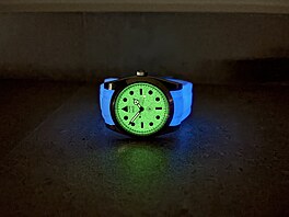 Fotografie po��zen� smartphonem Apple iPhone 16 Plus