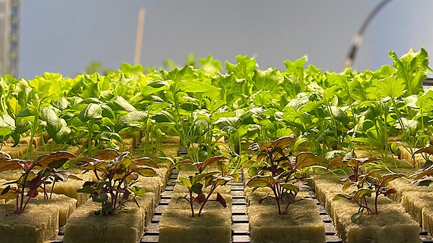 Takto vypad� budoucnost modern�ho zem�d�lstv�.