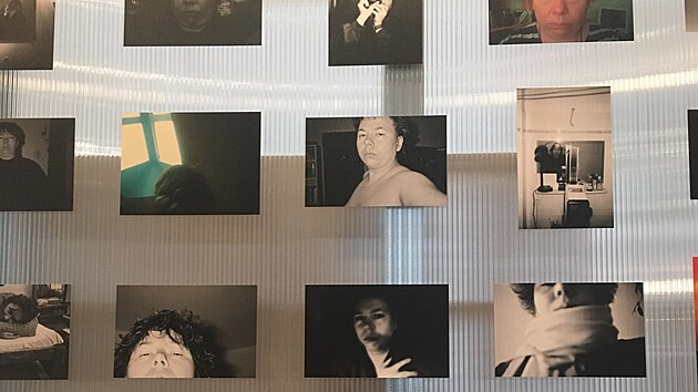 Autoportr�ty (27. ��jna 2024)