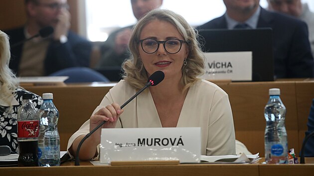 Krajsk nmstkyn pro informatiku a kybernetickou bezpenost a souasn starosta Msta Albrechtice Jana Murov (ANO). (21. jna 2024)