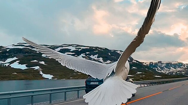 Pkn ptkovina. Dacia si chtla hodn ut premiru svho novho velkho modelu Bigster a veejnost proto hodn napnala. Krtce ped premirou novho SUV stedn tdy zveejnila rumunsk znaka prostednictvm svho instagramovho kanlu prvn snmek sv novinky. Ve vhledu na nov top model znaky ale brnil racek, ale v nkterch verzch i letc list