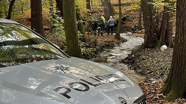 Prat policist v nedli v Praze 4 vylovili z Kunratickho potoka mrtvolu. (20. jna 2024)