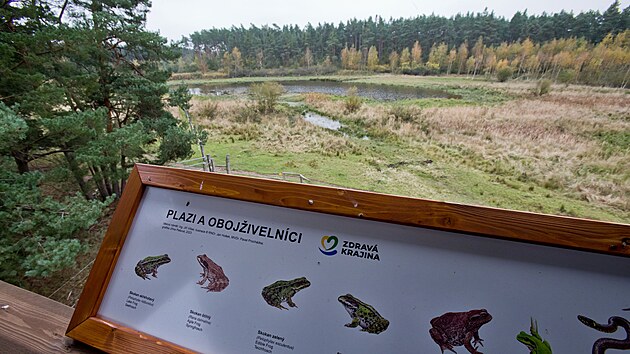 Janovsk mokad u Nan vznikl na mst dvno zaniklho rybnku jako projekt Plzeskho kraje. Na zem, kde vznikly nov tn, ij exmoort kon a pratui z evropskch chov. (18. jna 2024)