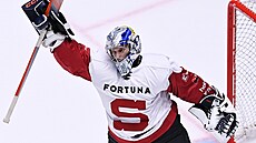 Branká� Martin Michajlov ze Sparty slaví výhru nad T�incem v samostatných...