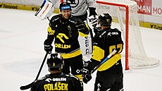 Matú Suke z Litvínova slaví gól v utkání s Plzní.