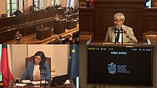 Poslanec Benda navrhl jednání Sn�movny i po devatenácté hodin�