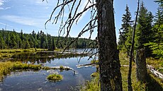 Splavovací vodní nádr� Reschbachklause je nejv�t�í svého druhu v NP Bavorský...