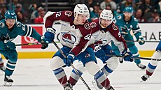 eský útoník Ivan Ivan z Colorada u puku