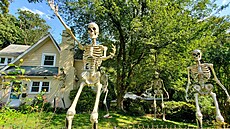 Realitní maklé�ka z Washingtonu D. C. Donny Kerrová pou�ila Skellyho, který byl...