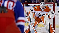 Branká Anaheimu Luká Dostál sleduje situaci ped sebou bhem utkání proti NY...