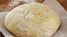 Z�kladn� kynut� t�sto