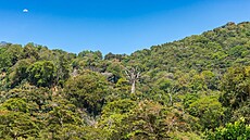 Národní park Volcán Barú v Panam� p�edstavuje pro turisty vzru�ující výzvu....