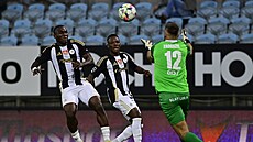 Branká� Hradce Králové Adam Zadra�il chytá st�elecký pokus fotbalist� z �eských...