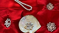 Prohlídka perlové farmy v emirátu Rás al-Chajma. Na fotografii vidíte perly v...