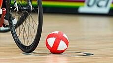 kolová (ilustraní foto)