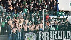 Fanou�ci Bohemians na výjezdu v Teplicích.