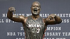 Diví se Dwyane Wade své so�e v Miami? Má na to právo.