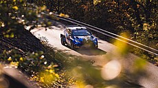Filip Mare se svou toyotou na trati Stedoevropské rallye WRC.