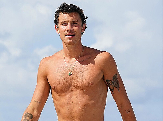 Shawn Mendes