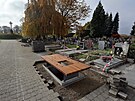 Zaala obnova aleje na pten stezce chebskho hbitova. (25. jna 2024)