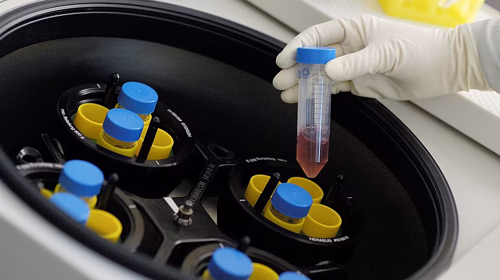 Z výroby kmenových bun�k