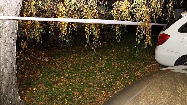 Ve st�edu ve�er vyj�d�li policist� do �itn� ulice v brn�nsk�ch �e�kovic�ch. N�hodn� kolemjdouc� tam na�el pod stromem opu�t�n�ho novorozence.