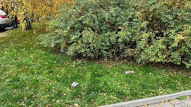 Msto nlezu novorozente v brnnsk itn ulici. (31. jna 2024)