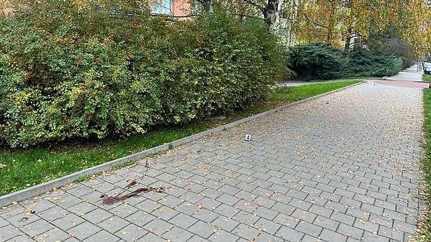 Msto nlezu novorozente v brnnsk itn ulici. (31. jna 2024)