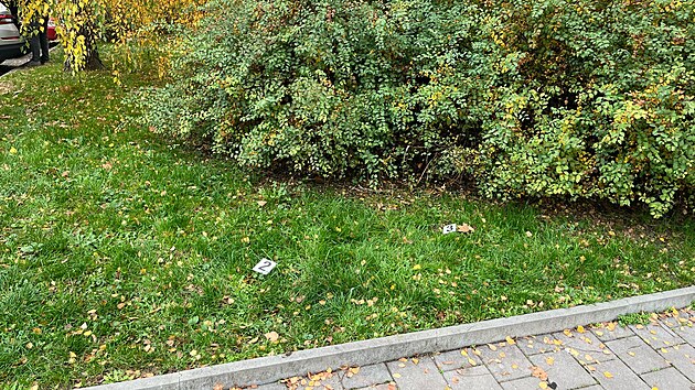 Msto nlezu novorozente v brnnsk itn ulici. (31. jna 2024)