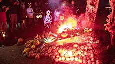 Výstava dýní inspirovaná mexickými oslavami Día de los Muertos v botanické...