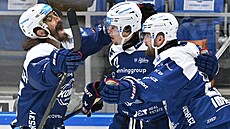 Hokejisté Komety Brno se radují z gólu do sít� T�ince. Zleva Peter Mueller,...