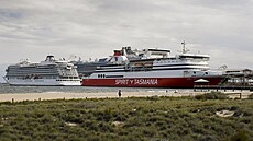 Spirit of Tasmania (31.10.2024).