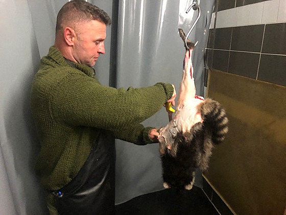 Lovec a prodejce uzenin Michael Reiss vyrábí uzeniny z mýval�. (9. listopadu...