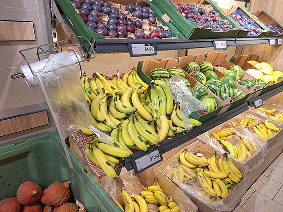 V Lidlu v �eské republice jsou zákazník�m sá�ky dostupné zdarma. (31. �íjna...