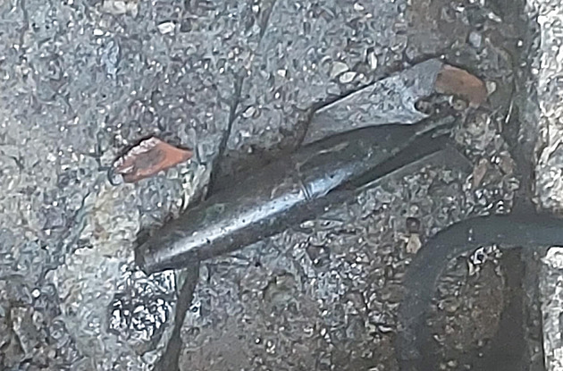 Policisté v Krom��í�i zkoumali p�edm�t p�ipomínající minometný granát. �lo ale...