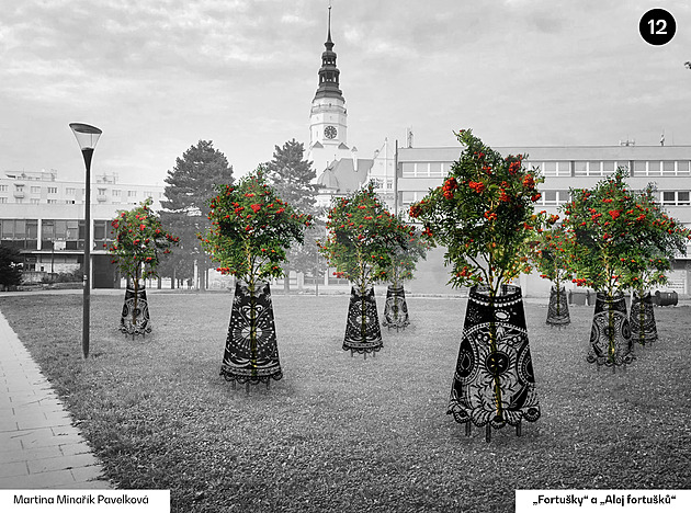 Martina Minaík Pavelková: Fortuky a Alej fortuk