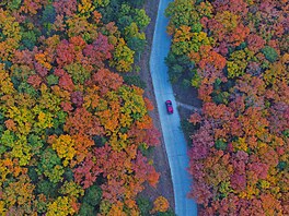 Barevné lesy v m�stské prefektu�e �chin-chuang-tao v provincii Che-pej