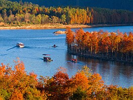 Turisté na podzim hojn� nav�t�vují na lodích  barevné metasekvoje u m�sta...