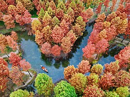 Turisté jedou na lodi, aby se pokochali barevným lesem z tisovce v m�stské...