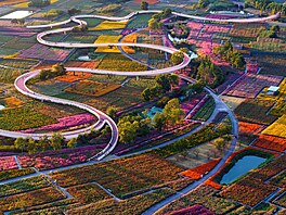 Kv�tinová pole v národním lesoparku San-tchaj-�an v �ínské m�stské prefektu�e...