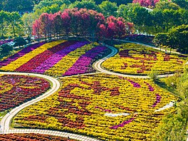 Snímek z výstavy chryzantém u m�sta Chuaj-an (29. �íjna 2024)